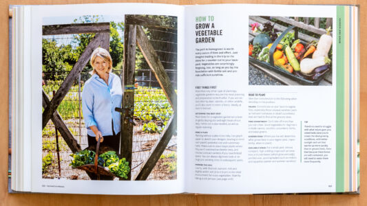 Person in the front cover of the magazine.
(HOW TO GROWA VEGETABLE GARDEN every ounce of time and efort. Just The path to homegrown is worth imagine trading in the trip to the store for a saunter out to your back- yand.Vegetables are surprisingly forgiving, too, so long as you lay the foundation with fertile soil and pro- vide sufficient sunshine. FIRST THINGS FIRST More than any other type of plantings and preparation to be fruitful. If you are vis regetable gardens requre the most planning WHAT TO PLAN ted often by deer, rabbits, or other wildlife Jeration to the following when you/ll also want to erect a fence, ideally at east 6 teet tall PALATIE: CO DETERMINE THE BEST SPOT that are hard to find at the grocery store s or dwarf cucur Must-haves for a vegetable garden are a leve or gently sloping ste and eght hours of sur TIME CO MeNT: Don